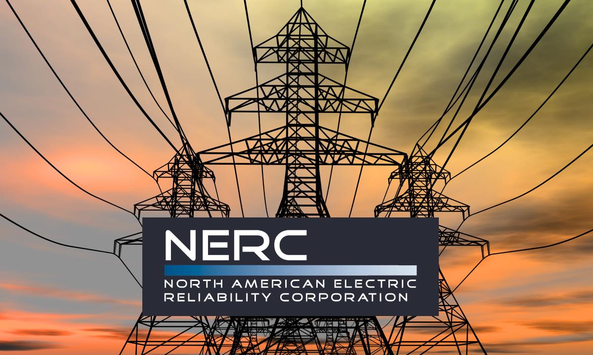 NERC 2020 report